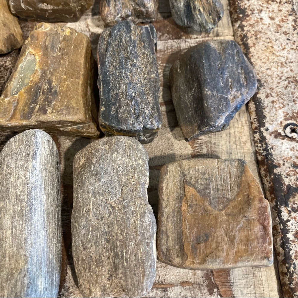 17pcs Petrified Wood 🪵 Rock Collection - Picture 6 of 17